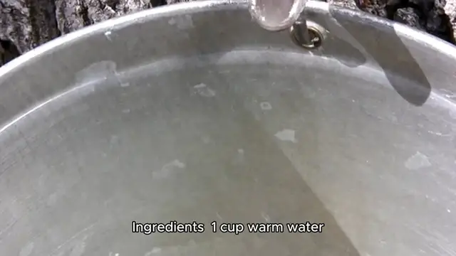 Video thumbnail for yeast roll recipe