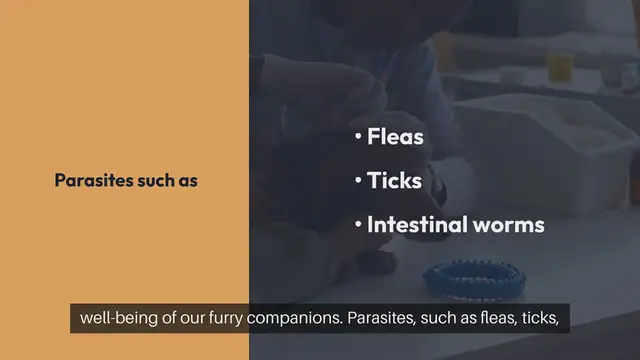 Video thumbnail for Pet Parasite Prevention