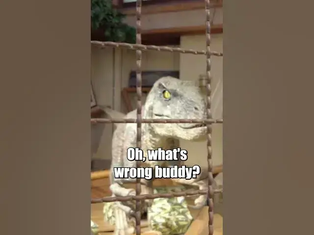 Video thumbnail for Lucia Speaks Dinosaur