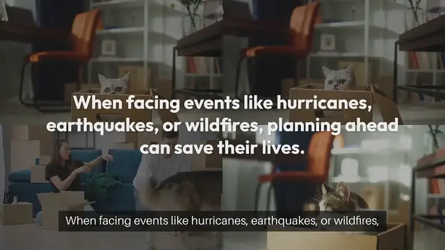 Video thumbnail for Pet Safety during Natural Disasters