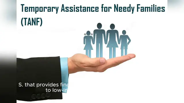 Video thumbnail for Temporary Assistance for Needy Families (TANF)