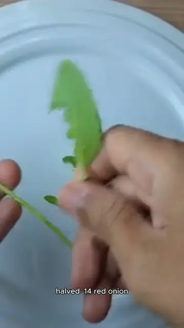 Video thumbnail for spinach salad recipe
