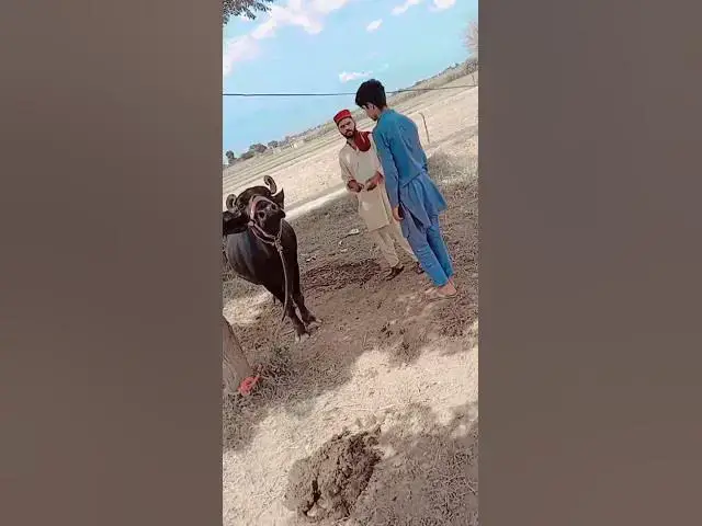 Video thumbnail for #vlog #trending #funny #familychannel #familyvideo #familyvlog #lifeisbutadream #rainvlog #pakistan