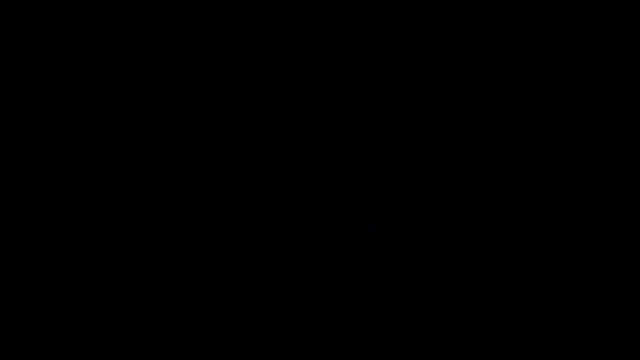 Video thumbnail for The Fox of the Palmgrove Trailer.mp4