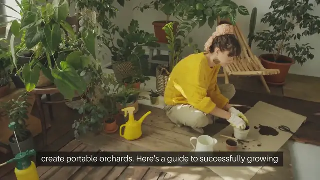 Video thumbnail for Container Fruit Tree Gardening Guide