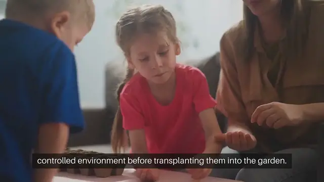 Video thumbnail for Seed Starting Basics Explained