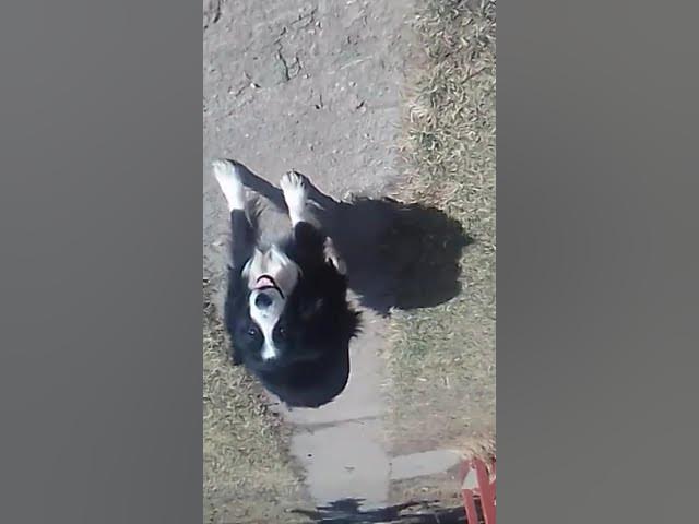 Video thumbnail for April 24, 2025