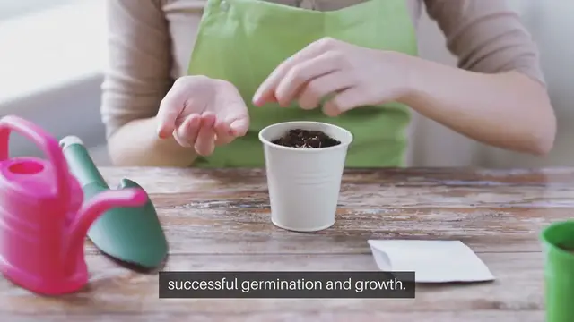 Video thumbnail for Seed Starting Calendar for Your Zone