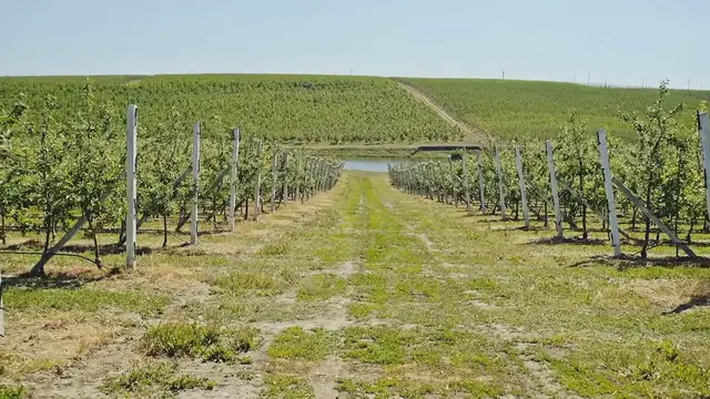 Video thumbnail for **"Scott Peterson Speaks Out After 20 Years: Admits Infidelity But Insists ‘I Didn’t Kill My Wife’ in New Docuseries"**