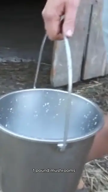 Video thumbnail for recipe for mushroom soup