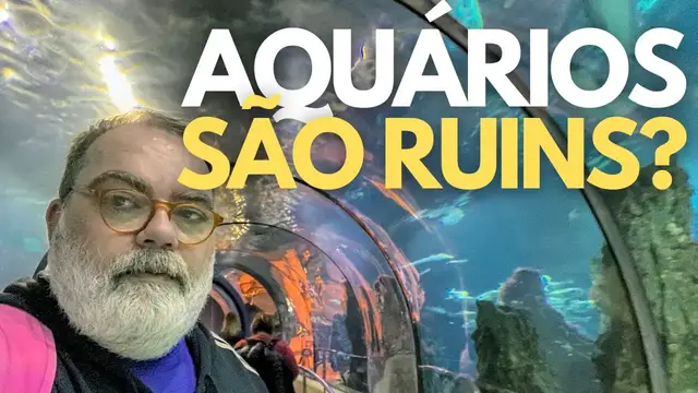 Video thumbnail for AQUÁRIO MARINHO EM BARCELONA - POR QUE AQUÁRIO