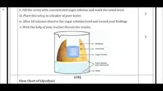 Video thumbnail for 11th Botany Half Yearly Answer Keys 2018-19 (English Medium) | Team Aspirants