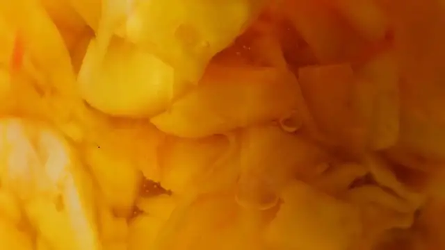 Video thumbnail for Easy Homemade Sauerkraut Recipe