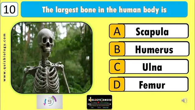 Video thumbnail for "Test Your Human Body Knowledge! Human Body GK Quiz Challenge || How Many Can You Answer?"