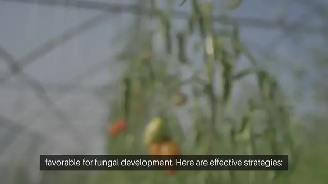Video thumbnail for Preventing Fungal Growth in Humid Climate