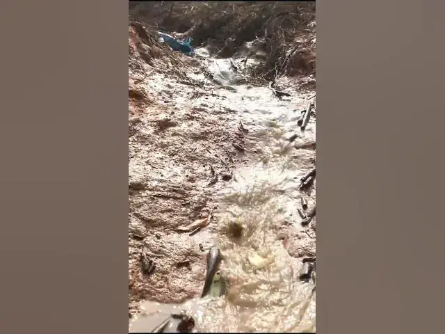 Video thumbnail for A lot Fish   #fishing #catchfish #fish