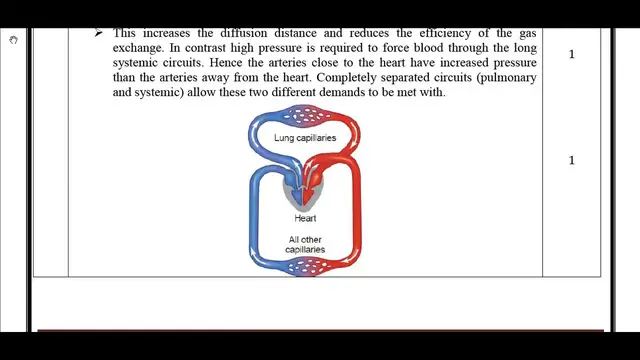 Video thumbnail for 11th Bio Zoology Public Exam March 2019 Answer Keys English Medium