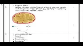 Video thumbnail for 11th Bio Zoology Public Exam March 2019 Answer Keys | Tamil Medium | Team Aspirants