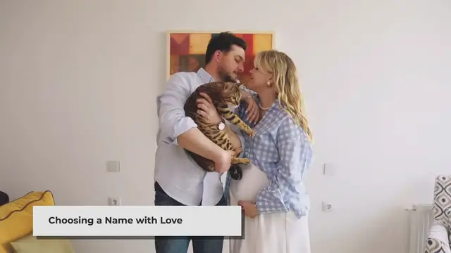 'Video thumbnail for 25 Name Ideas for Rescued Cats with their Meanings'
