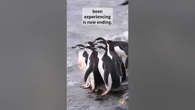 'Video thumbnail for A Message from Penguin'