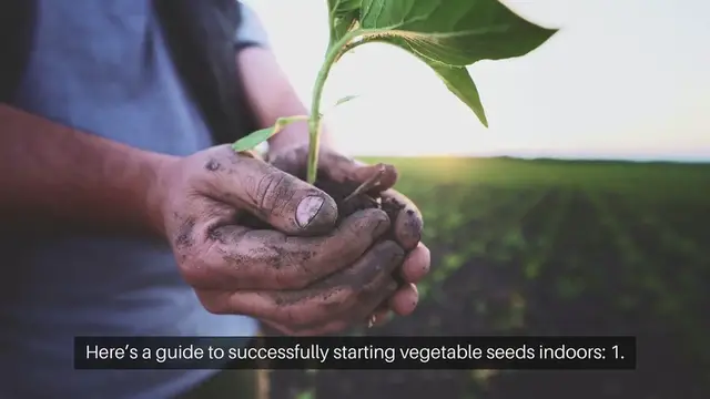 Video thumbnail for Starting Vegetable Seeds at Home