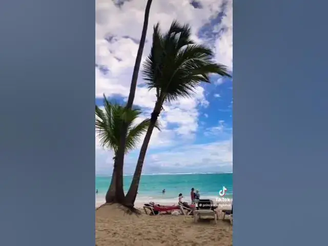 Video thumbnail for 28 February 2024