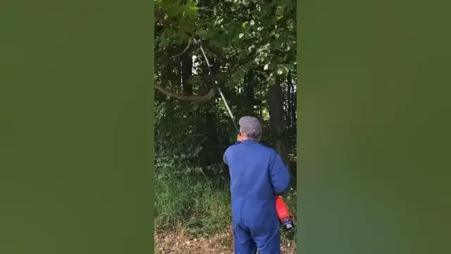 'Video thumbnail for Cordless Milwaukee Pole Saw in Action'