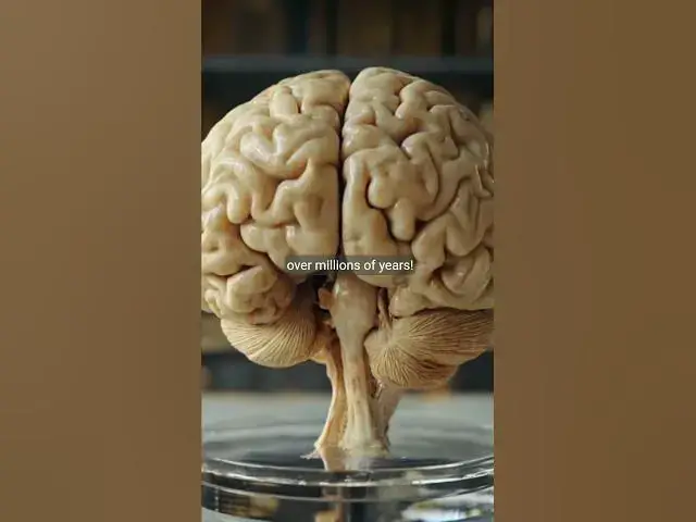 Video thumbnail for What Made Humans 'The Fat Primate' (It’s Far Deeper Than Diet)