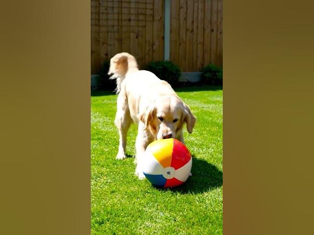 Video thumbnail for like and subscribe plz