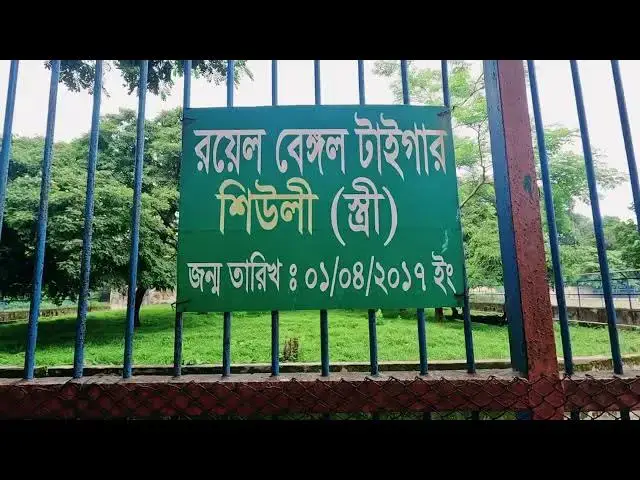 Video thumbnail for চিড়িয়াখানায়  বাঘ জন্য মানুষের ভিড়