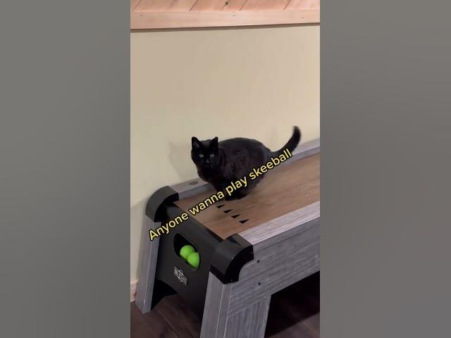 Video thumbnail for Think You're a Skeeball Pro? Watch and Find Out!