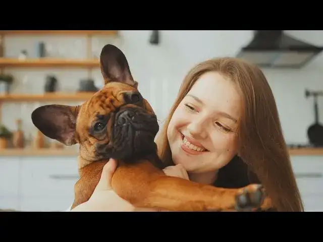 'Video thumbnail for Dogs’ Favorite Person: How to Become Their #1 Choice'