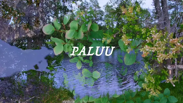 Video thumbnail for PALUU_MASTER_PRORES.mov