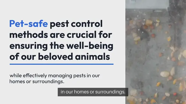 'Video thumbnail for Pet-Safe Pest Control Methods'