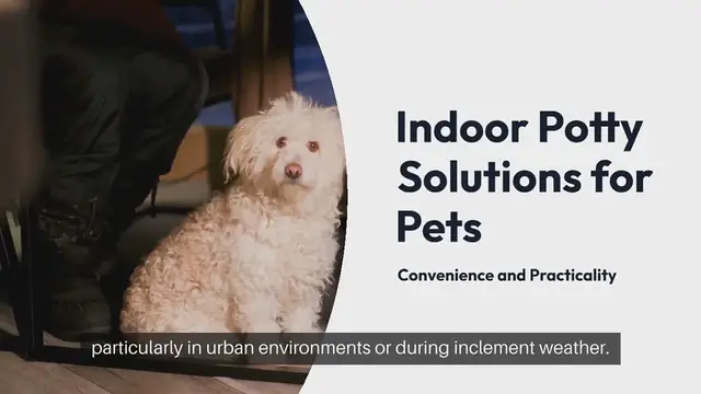 Video thumbnail for Indoor Potty Solutions for Pets