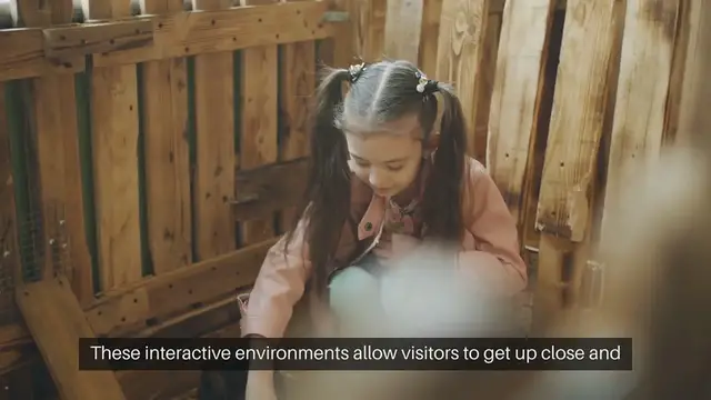 'Video thumbnail for Petting Zoo Animals Fun and Educational Experiences'