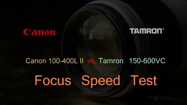 Video thumbnail for Tamron 150-600 VC  vs Canon 100-400L II Focus Speed Test