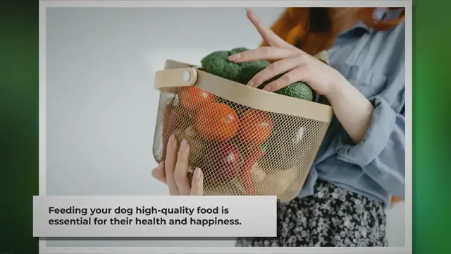 'Video thumbnail for 7 Ingredients to Look for in Fresh Dog Food'