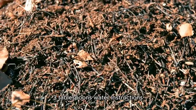 Video thumbnail for flax egg recipe