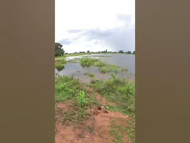 Video thumbnail for Cute Lake Natural Everning