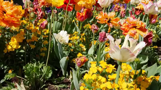 Video thumbnail for Thoughtful and Classic Valentine’s Day Gifts