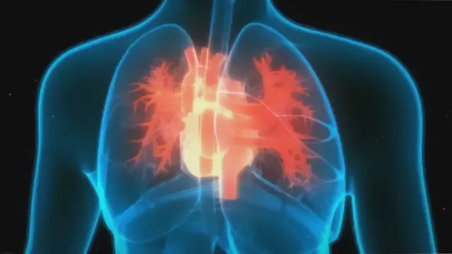 'Video thumbnail for Activate Your Heart: Every Step Matters'