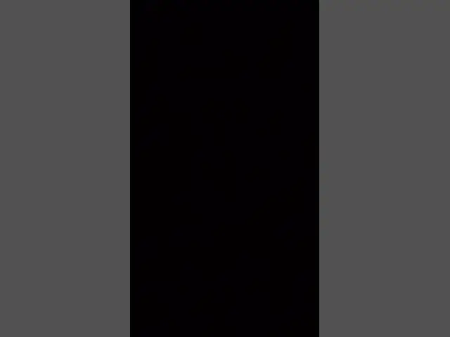 'Video thumbnail for December 15, 2024'