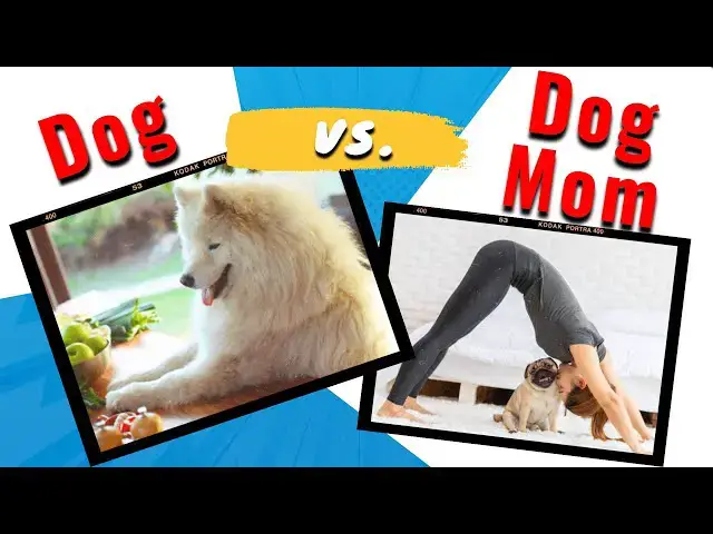 'Video thumbnail for 24 Hour Dog Mom Fitness Challenge to Become the FITTEST!'
