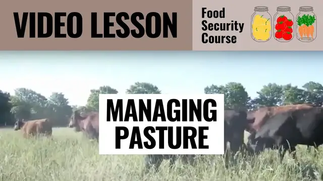 'Video thumbnail for VIDEO   MANAGING PASTURE'