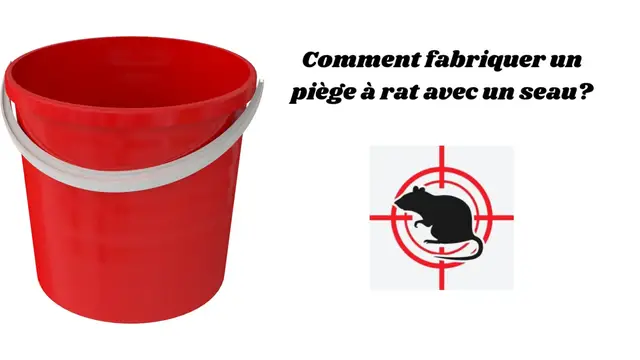 Video thumbnail for Comment fabriquer un piège à rat avec un seau?