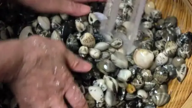 Video thumbnail for oyster recipe