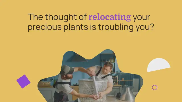 Video thumbnail for Move your valuable plants securely with packers and movers: