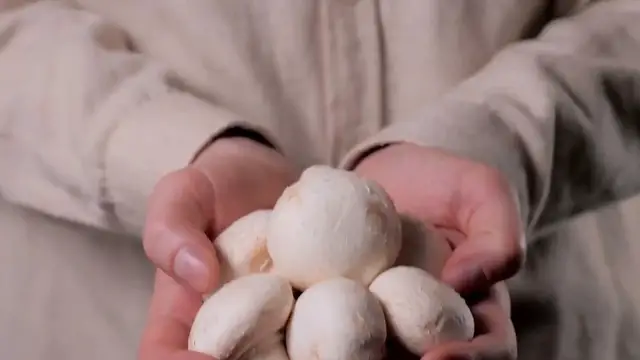 Video thumbnail for The Mushroom ASMR Experience: A Delight for Your Senses