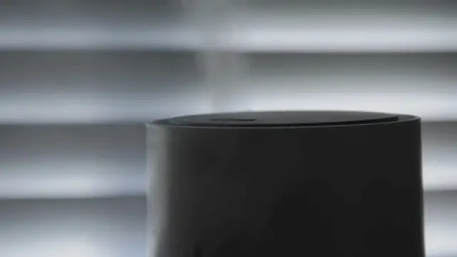 Video thumbnail for Can You Put Essential Oils in a Humidifier?